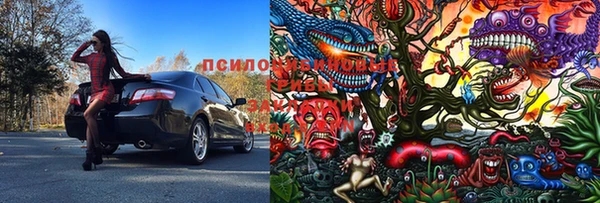 винт Балахна