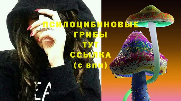винт Балахна