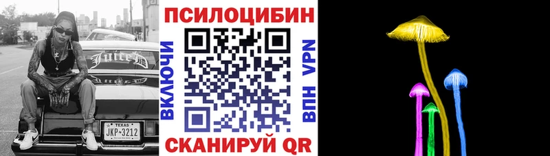 Псилоцибиновые грибы Psilocybe  Чердынь 